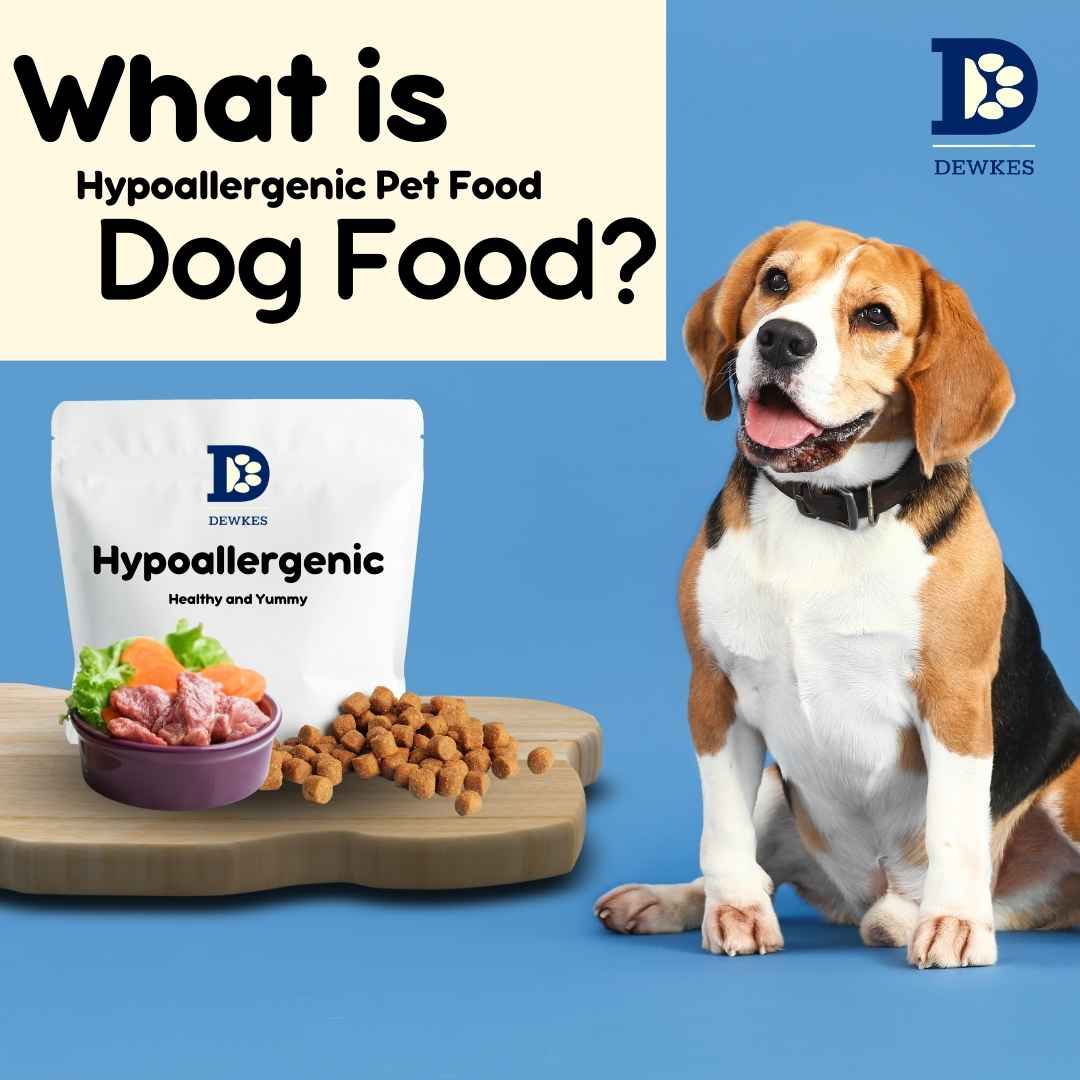 What Exactly is Hypoallergenic Dog Food?