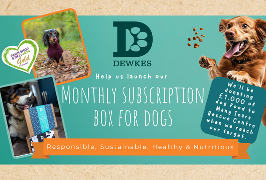 Healthy Treats, Happy Dogs – Support Dewkes’ New Subscription Service!