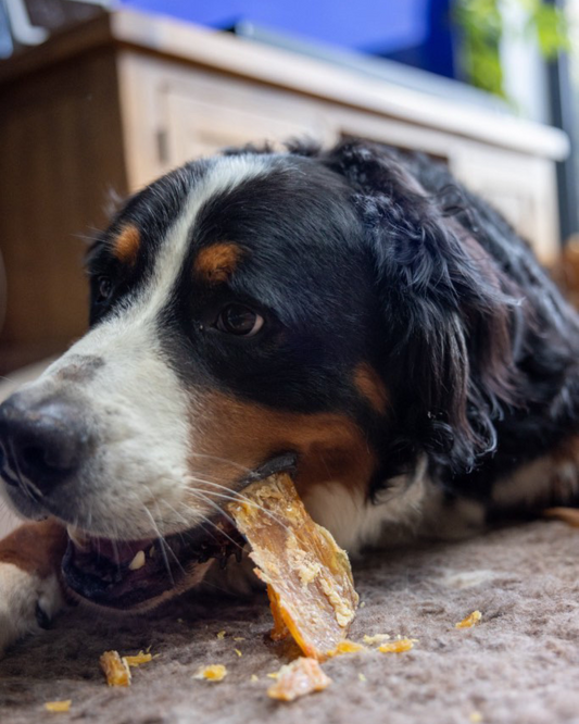 Dewkes healthy dog treats