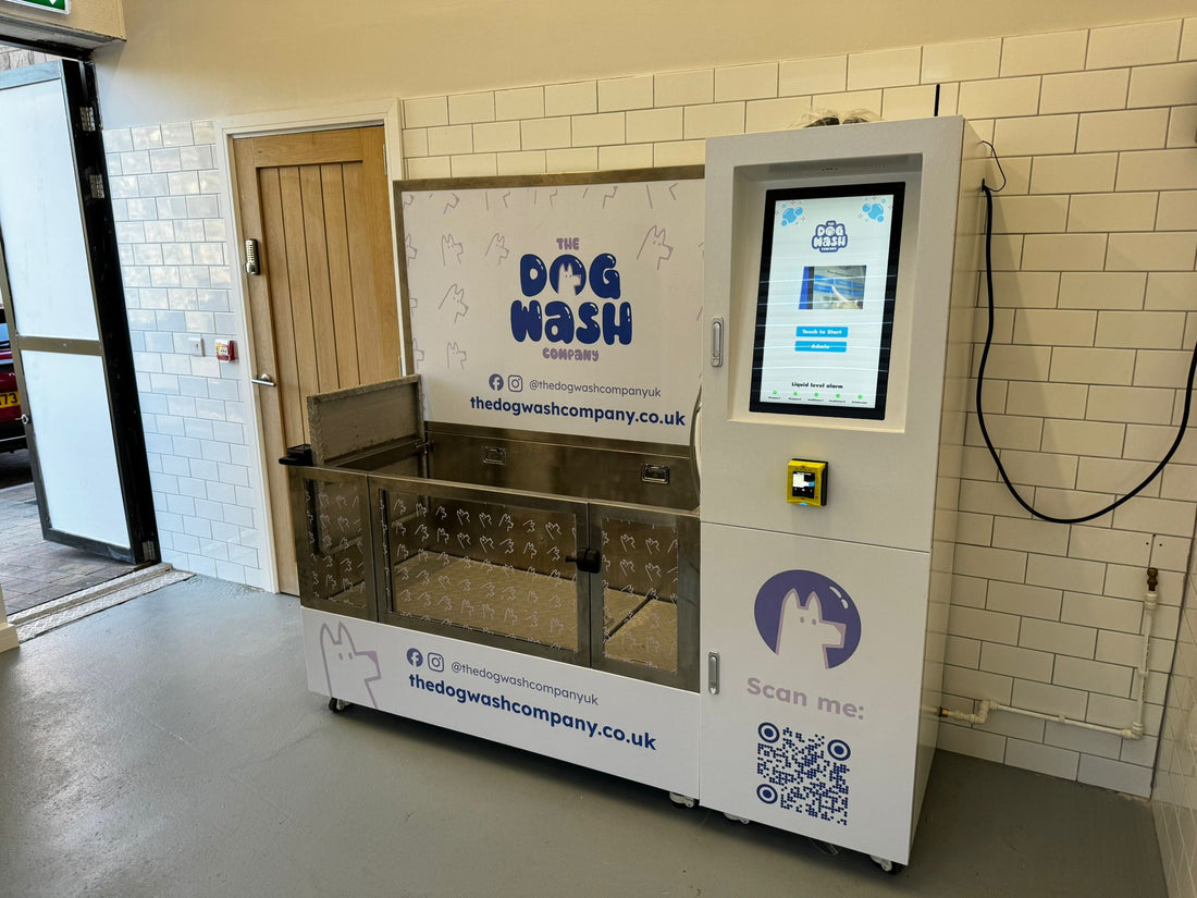 Introducing the Self-Service Dog Wash Machine at Dewkes of Sketty