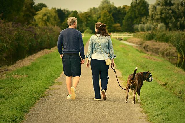 How Often Should I Walk My Dog?