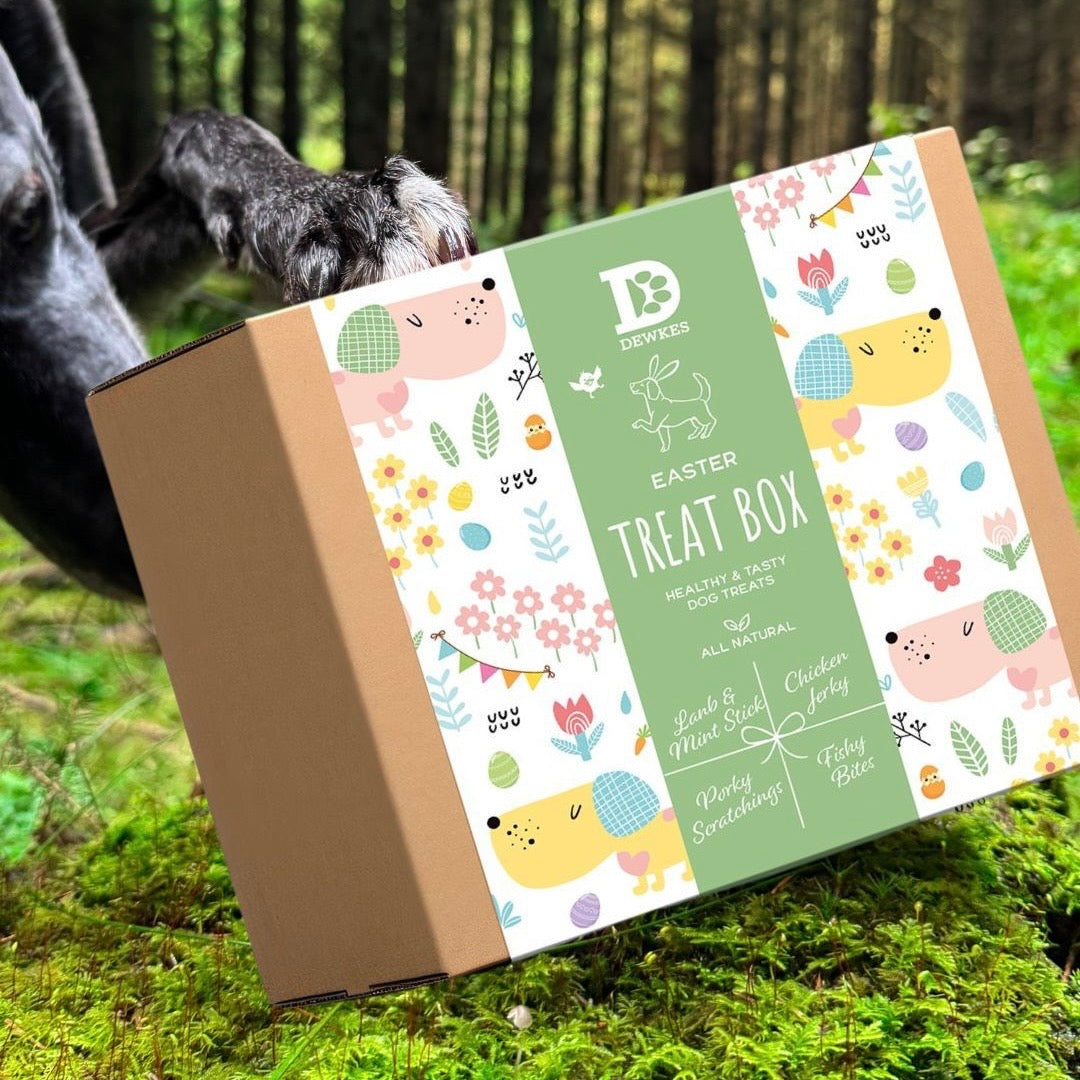 PRE SALE - Dewkes Easter Treat Box – Natural Treats & Seasonal Toy for Dogs