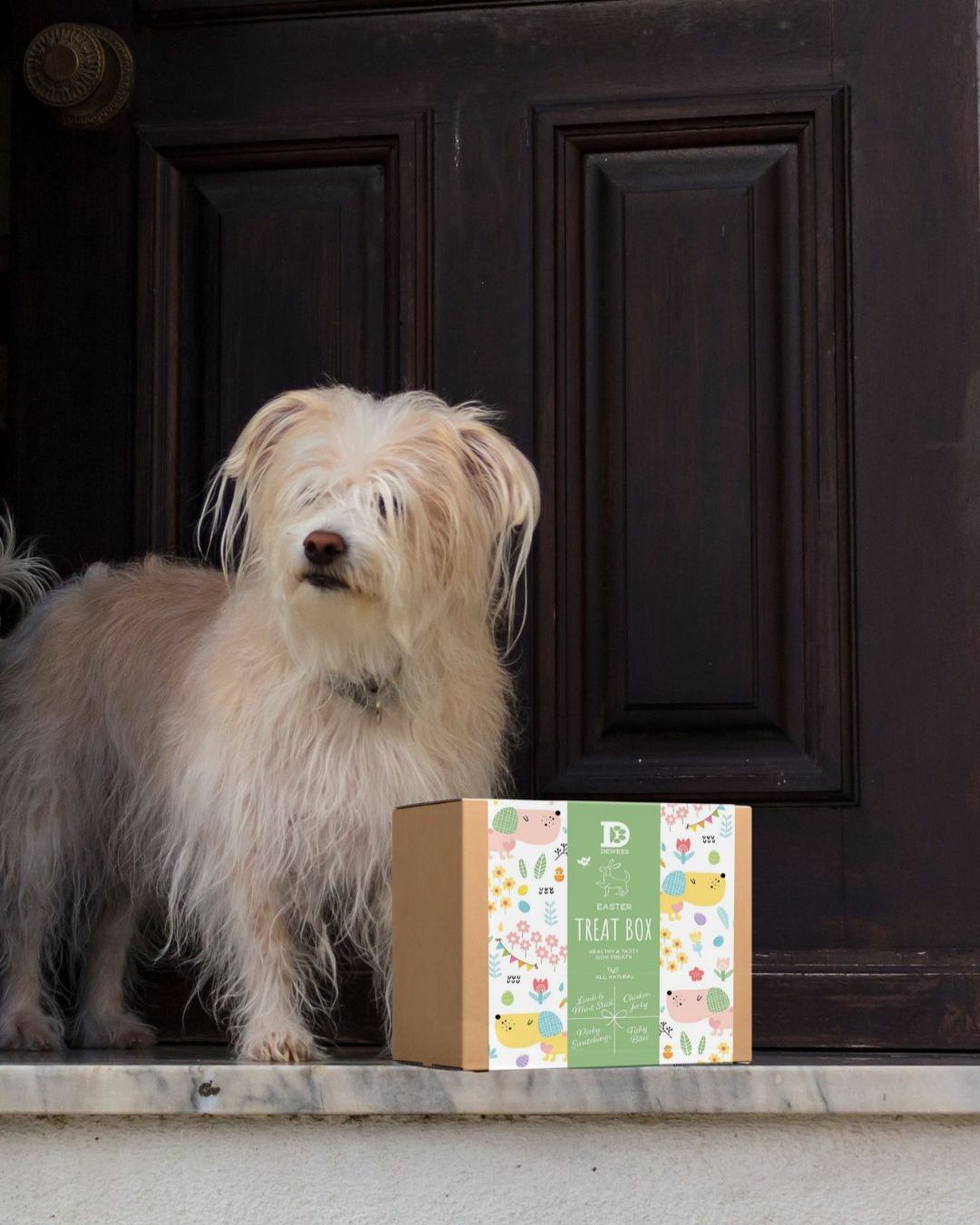 PRE SALE - Dewkes Easter Treat Box – Natural Treats & Seasonal Toy for Dogs