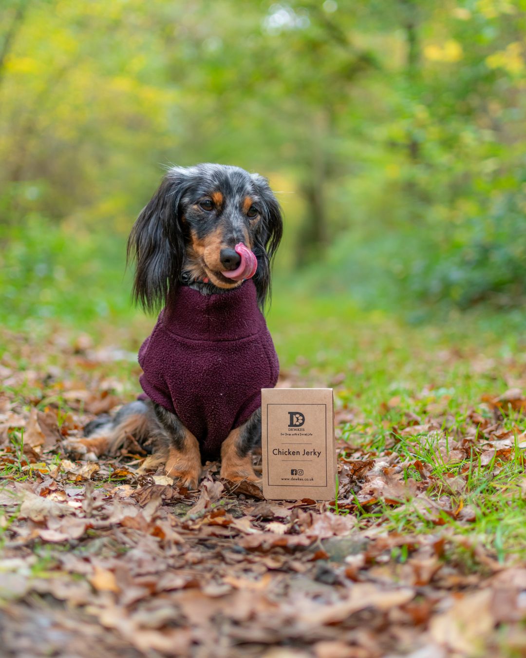 PRE SALE - Dewkes Easter Treat Box – Natural Treats & Seasonal Toy for Dogs