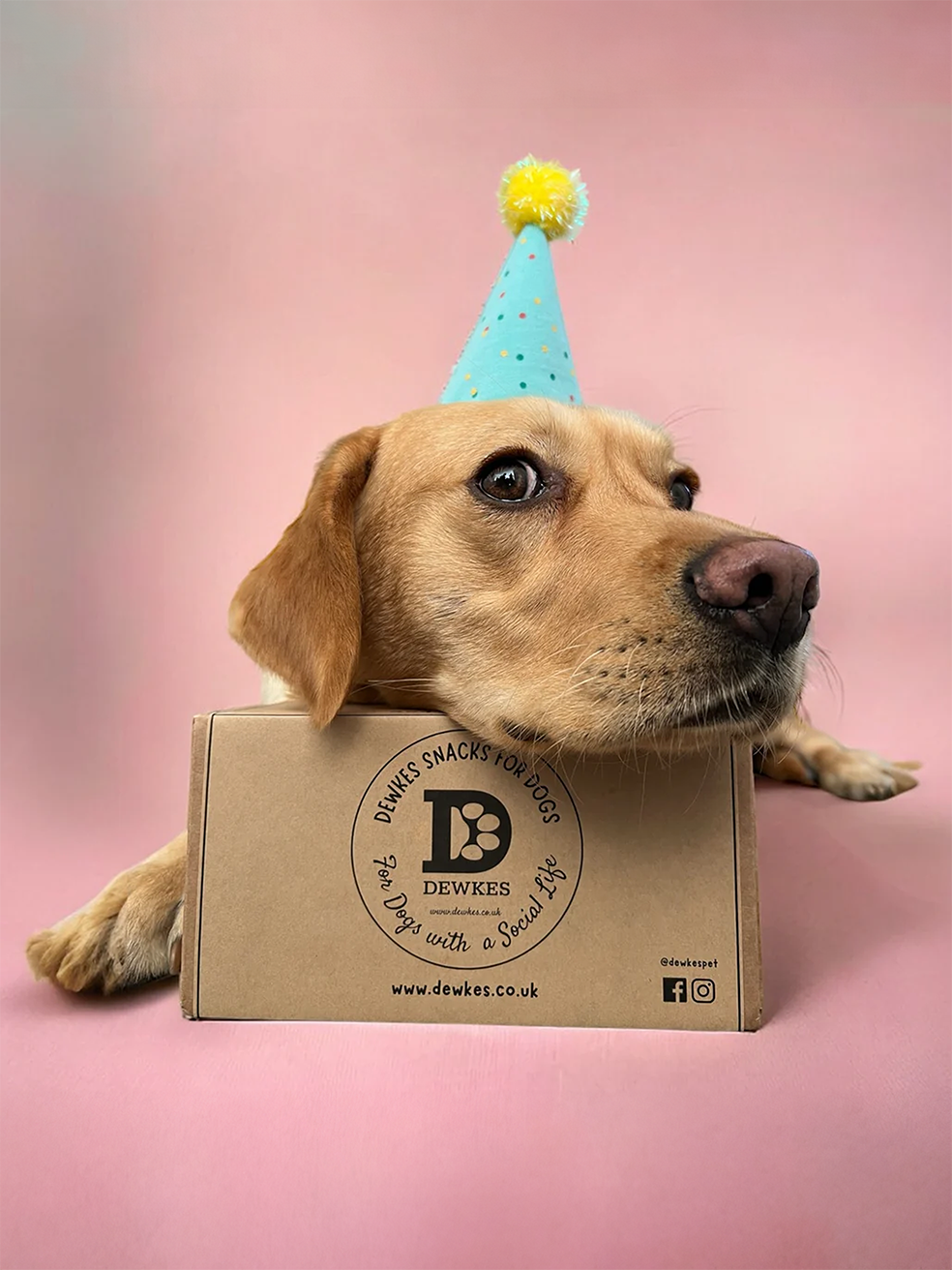 Birthday Gift - Dewkes Gourmet Dog Snack Takeaway Box