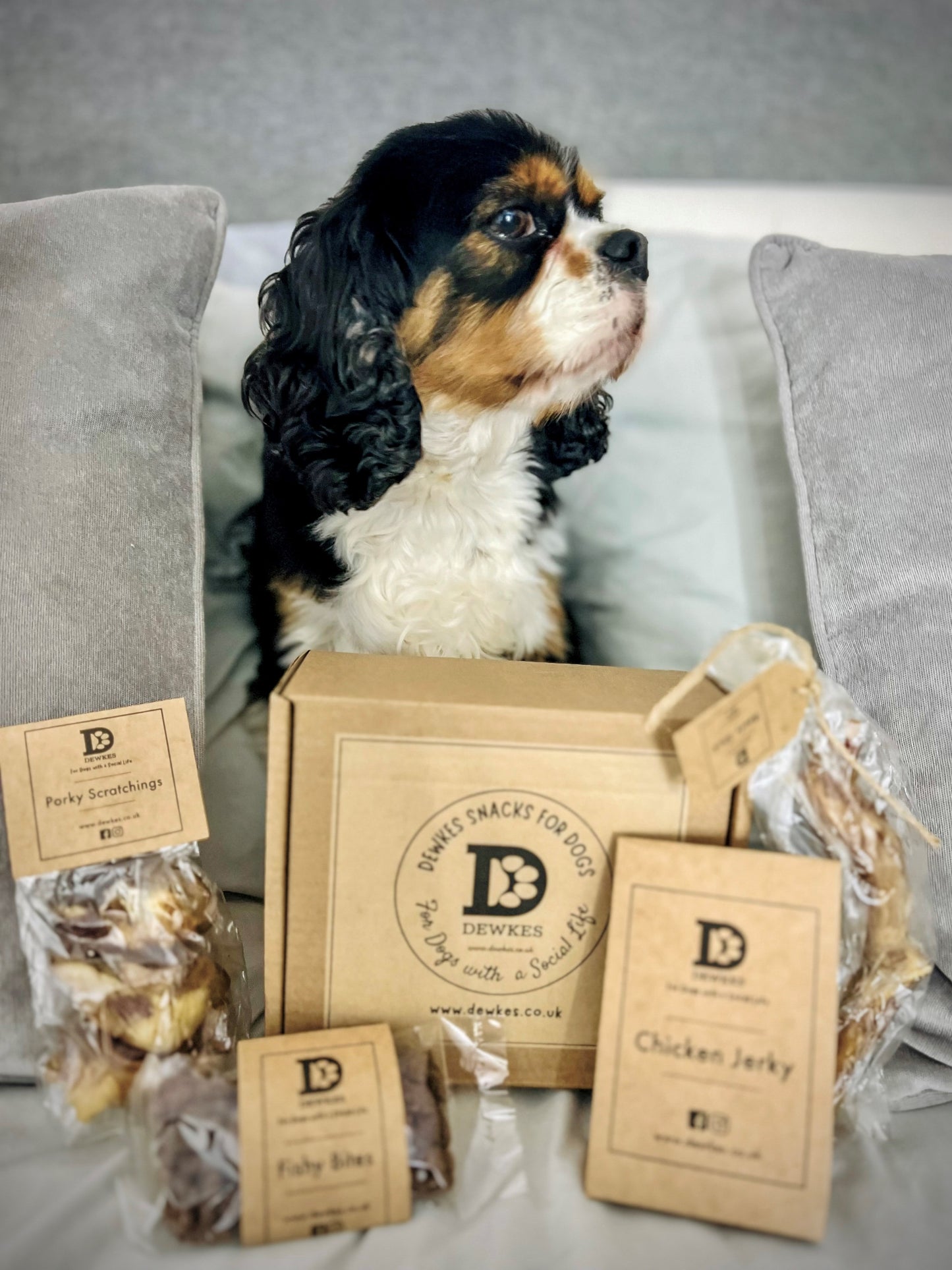 🎄 Dewkes Christmas Dog Gift Box – The Ultimate Festive Treat for Your Furry Friend! 🎁🐾